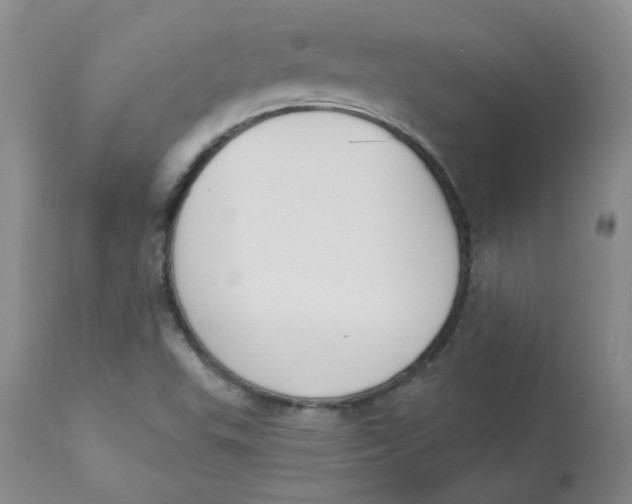 X0000112841503200909111410