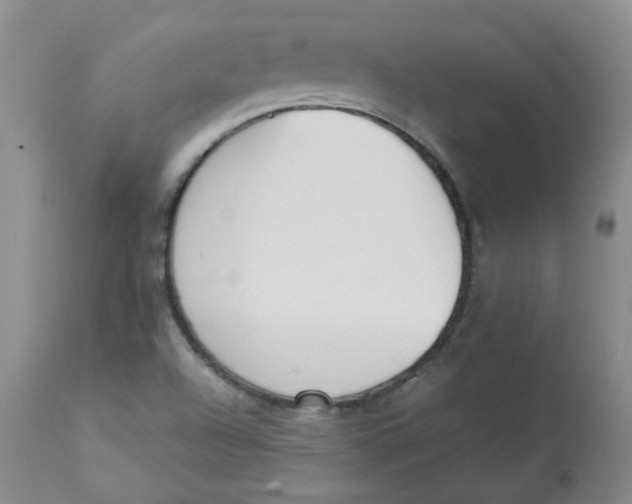 X0000112841504200909111410