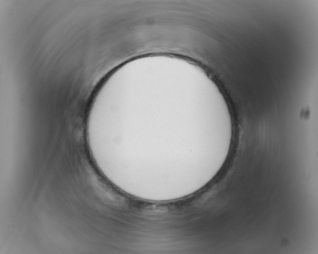 X0000112841505200909111410