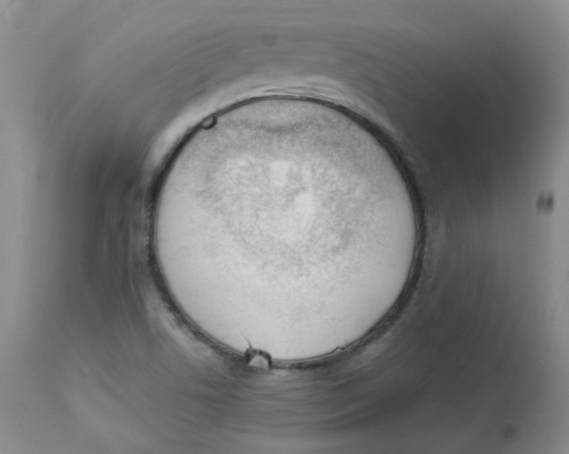 X0000112841506200909111410