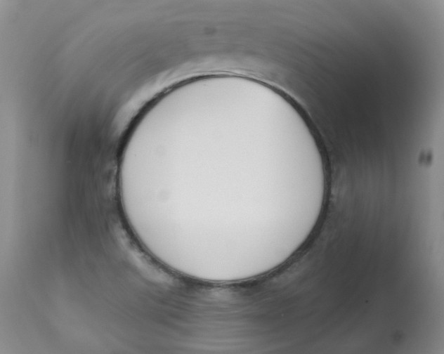 X0000112841507200909111410