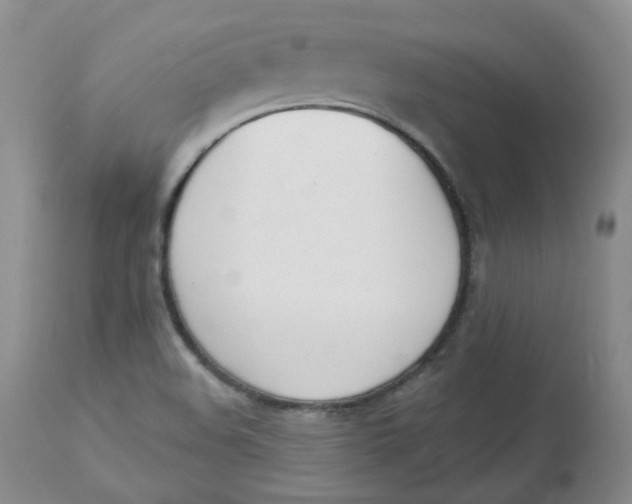 X0000112841508200909111410