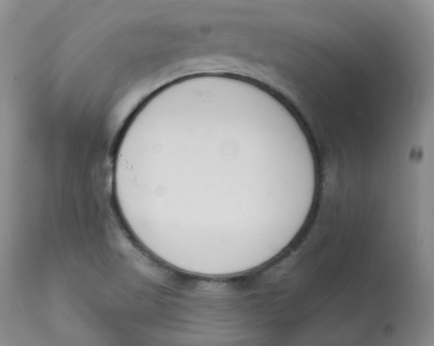 X0000112841509200909111410