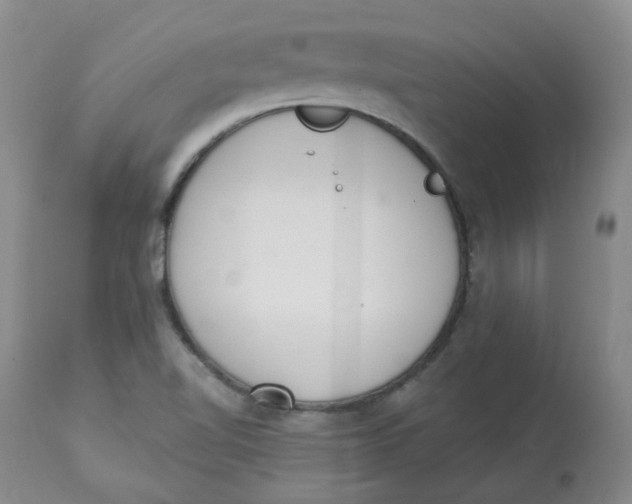 X0000112841510200909111410