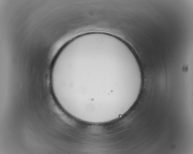 X0000112841511200909111410