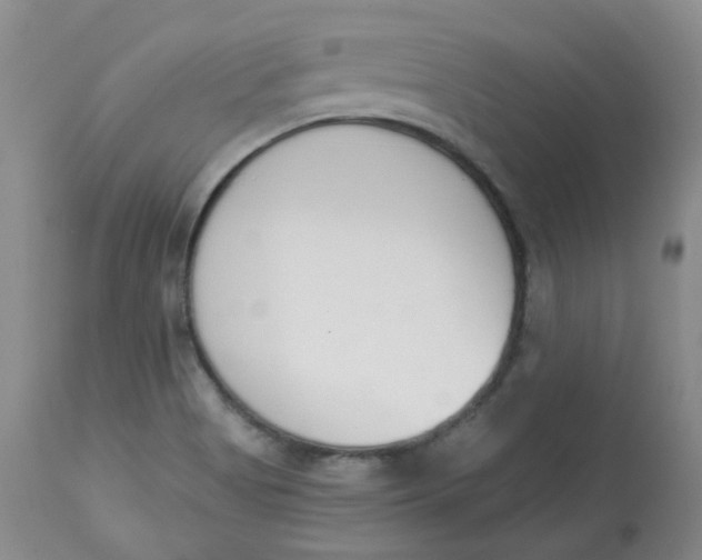 X0000112841513200909111410