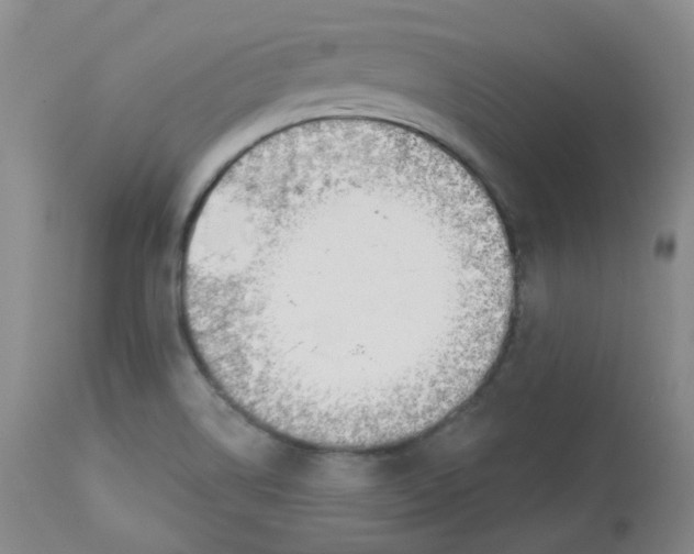 X0000112841514200909111410