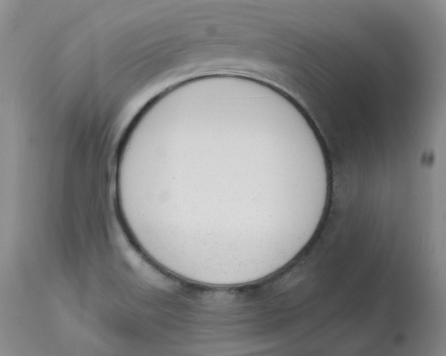 X0000112841515200909111410