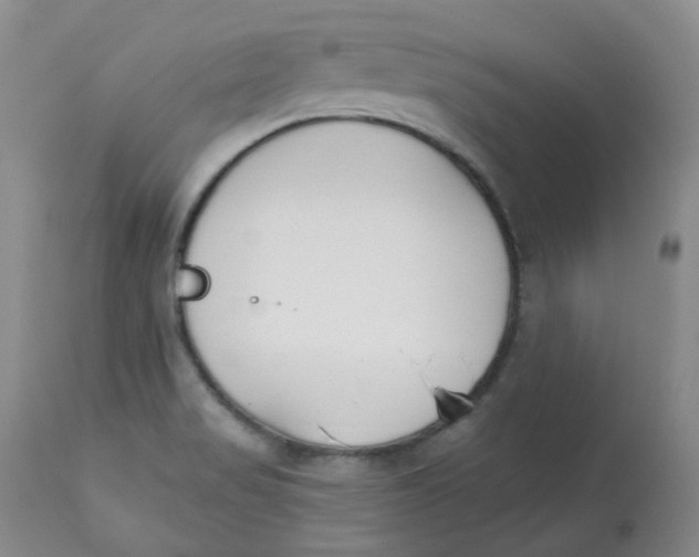 X0000112841517200909111410