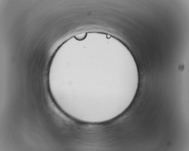 X0000112841518200909111410