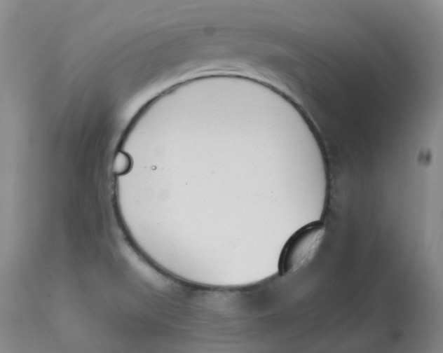 X0000112841519200909111410