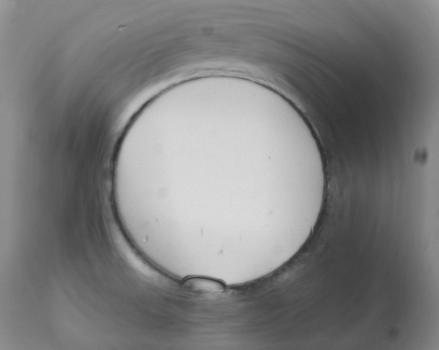 X0000112841523200909111410