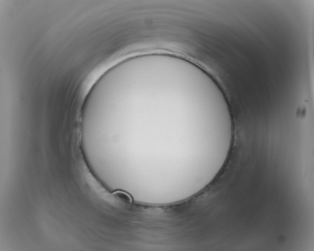 X0000112841524200909111410