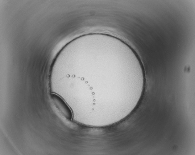 X0000112841525200909111410