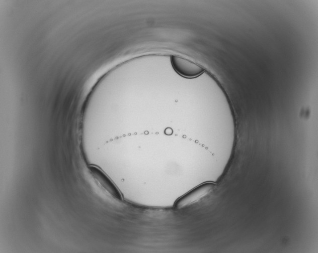 X0000112841526200909111410