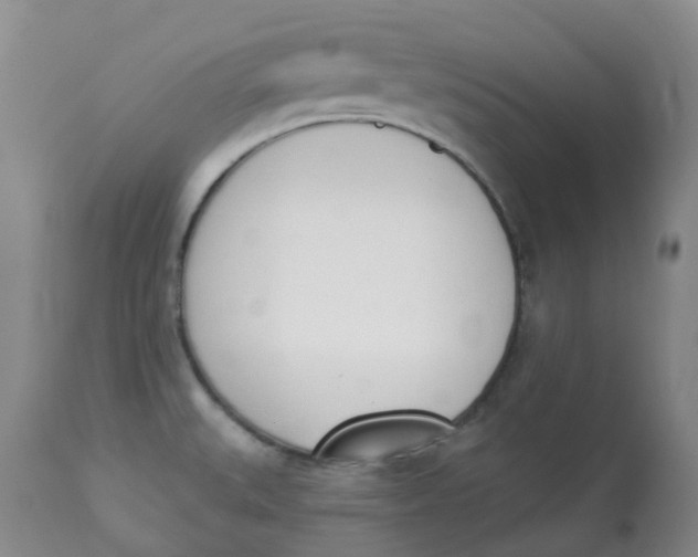 X0000112841527200909111410