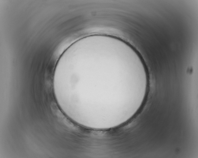 X0000112841529200909111410