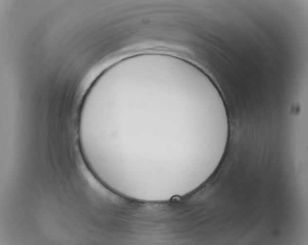 X0000112841531200909111410