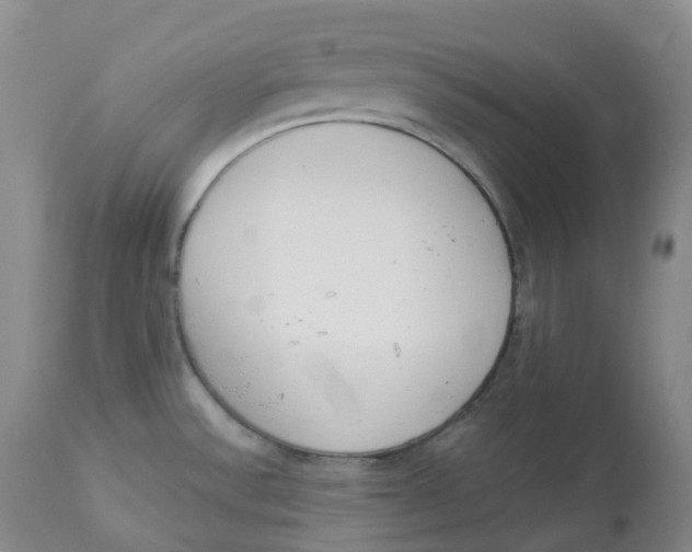 X0000112841532200909111411