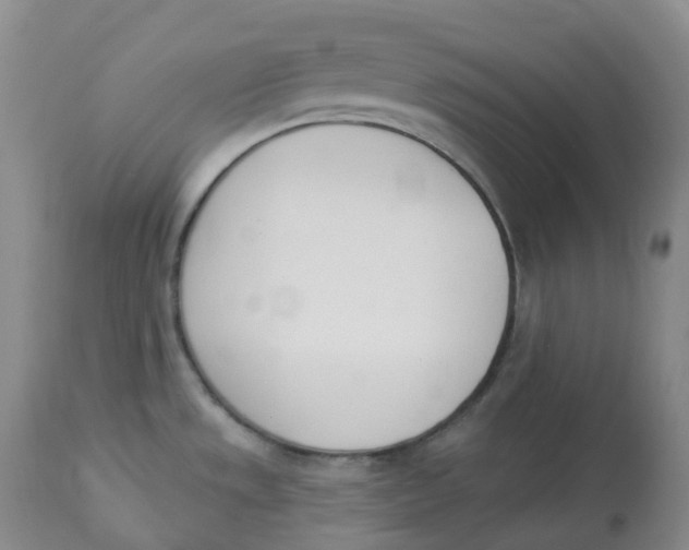 X0000112841533200909111411