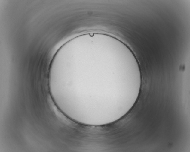 X0000112841534200909111411