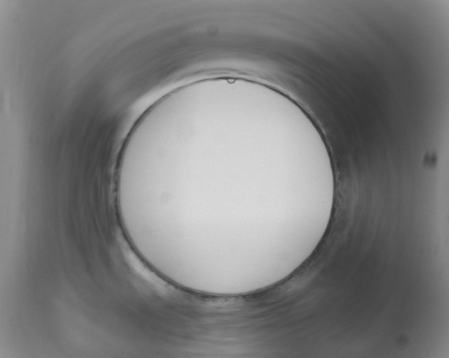 X0000112841535200909111411