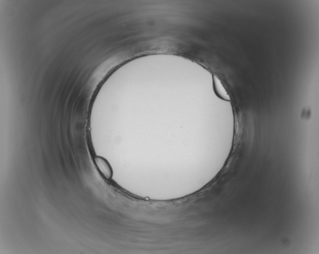 X0000112840003200909181723