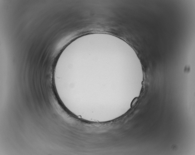 X0000112840005200909181723