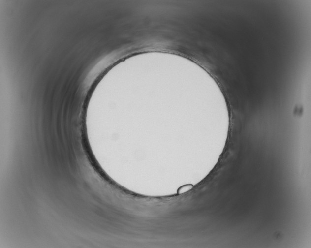 X0000112840007200909181723