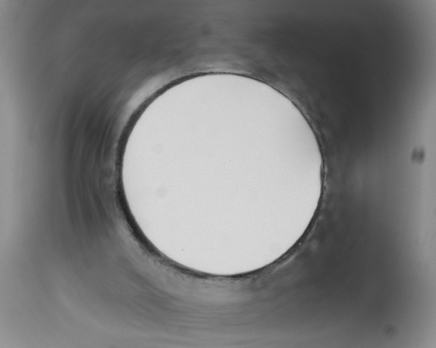 X0000112840008200909181723