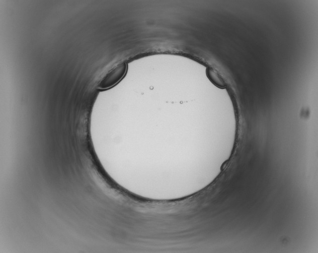 X0000112840009200909181723