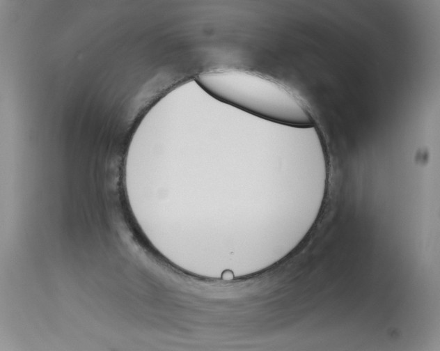 X0000112840010200909181723