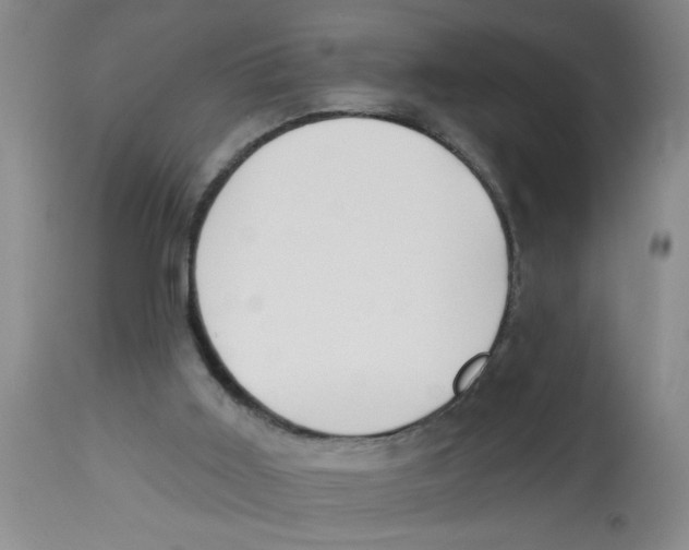 X0000112840011200909181723