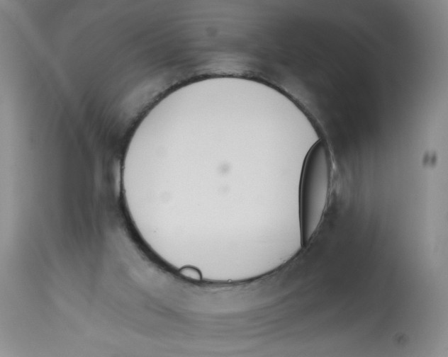 X0000112840013200909181723