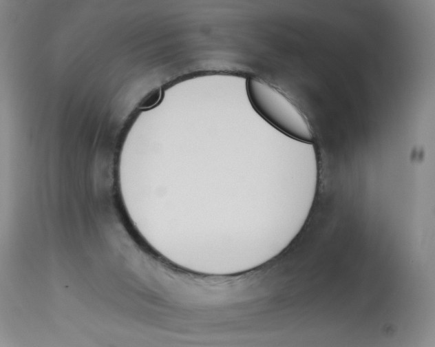 X0000112840015200909181723