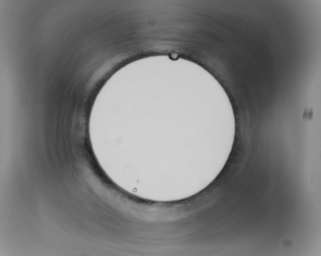 X0000112840016200909181723