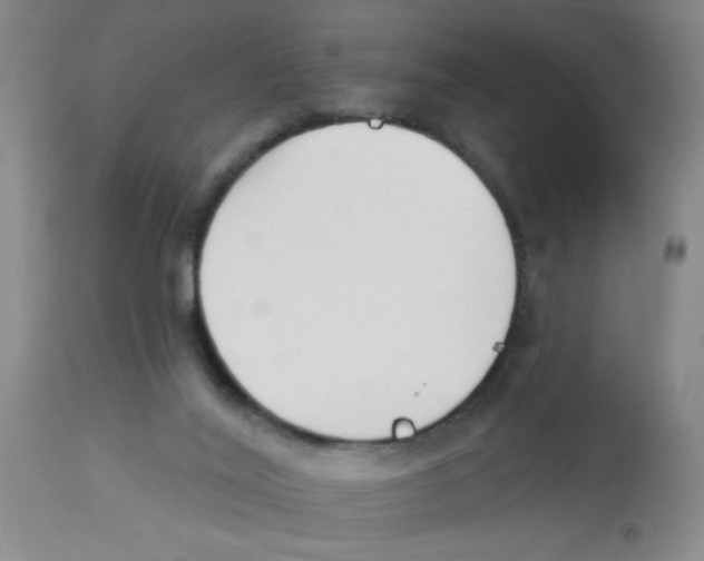 X0000112840020200909181723