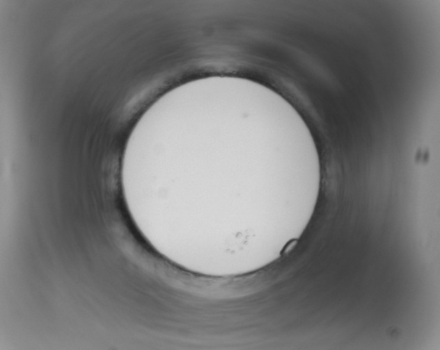 X0000112840023200909181723