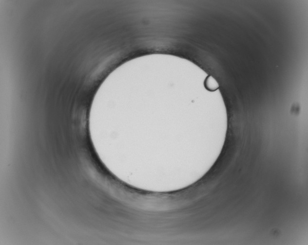 X0000112840024200909181723