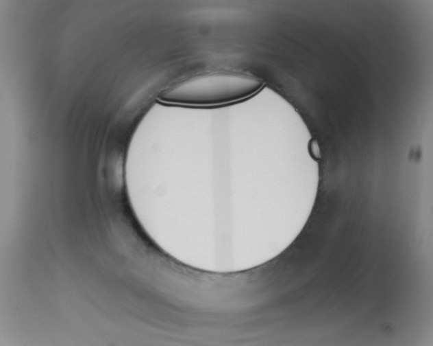 X0000112840027200909181723