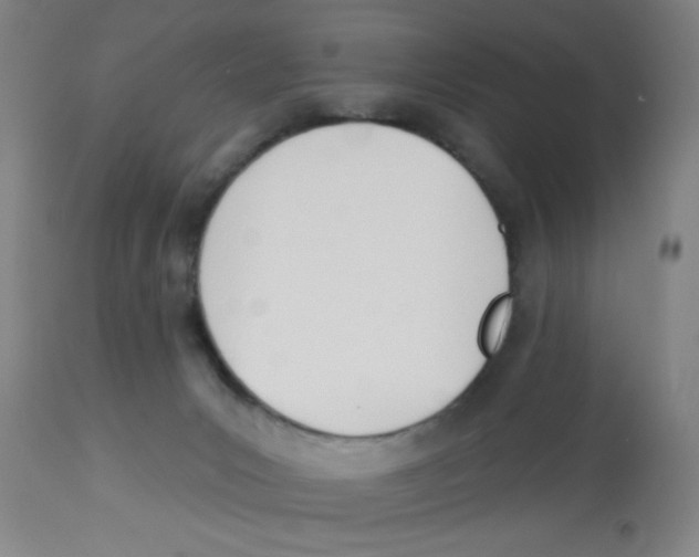 X0000112840031200909181723