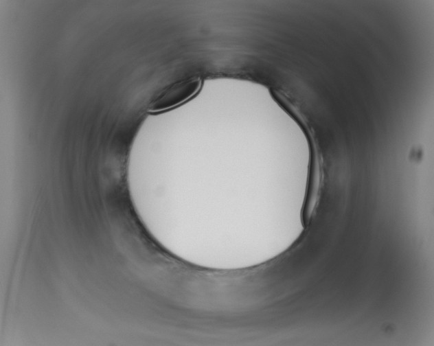 X0000112840033200909181723