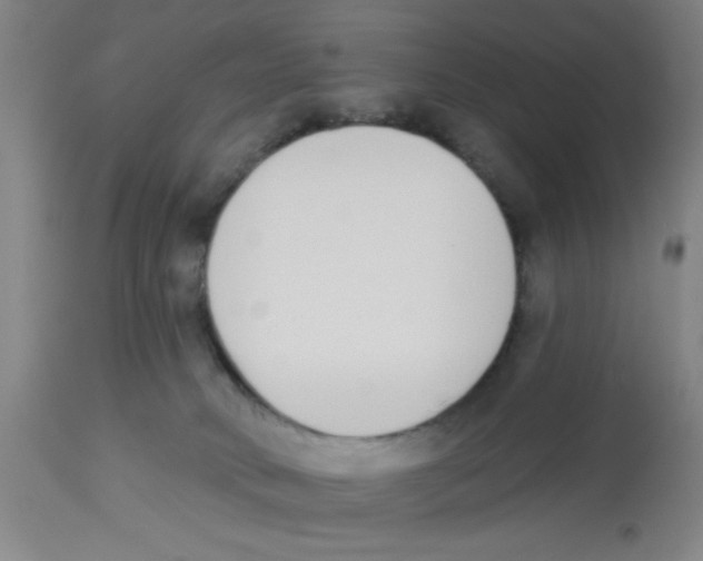 X0000112840034200909181723