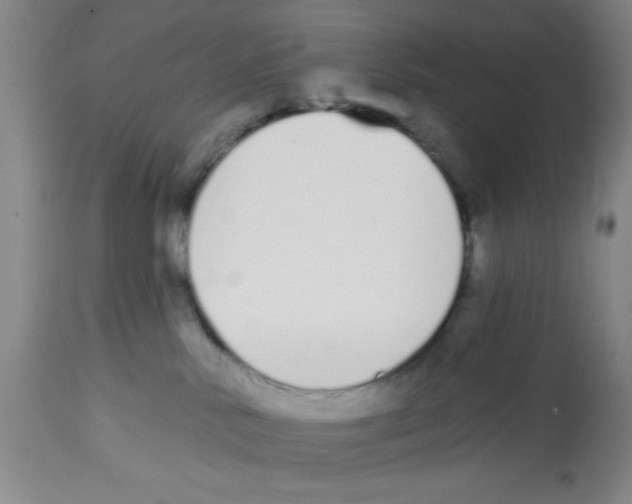 X0000112840042200909181723