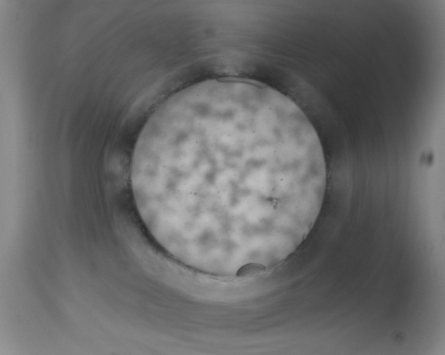 X0000112840043200909181723