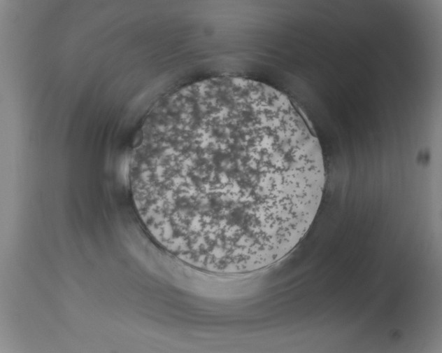 X0000112840047200909181723