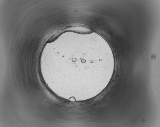 X0000112840049200909181722