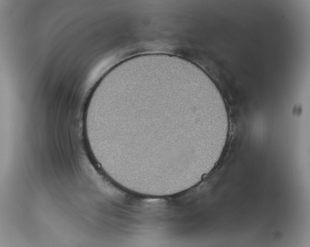 X0000112840053200909181722