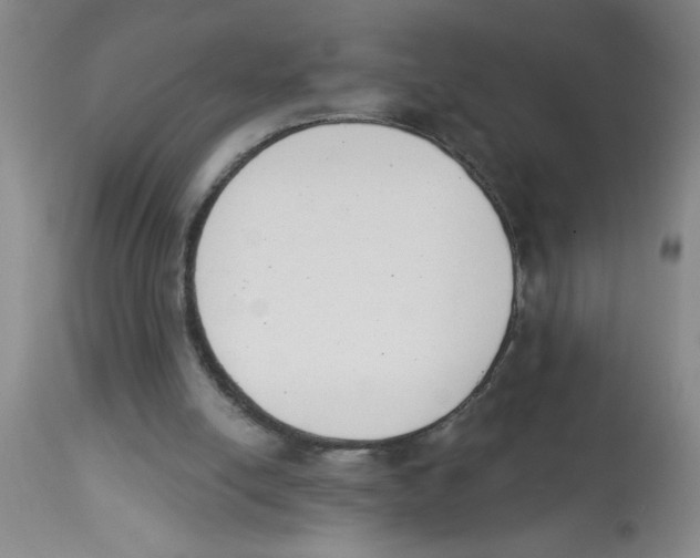 X0000112840054200909181722