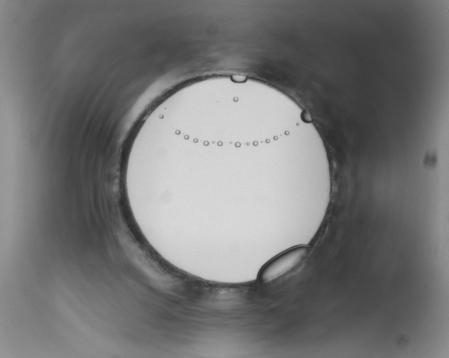 X0000112840056200909181722